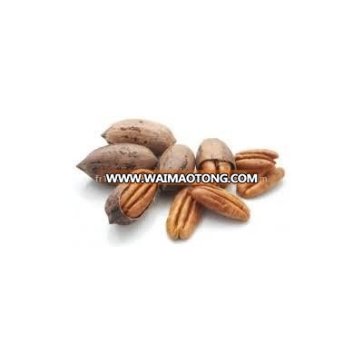 Quality Pecan Nuts/ Pecan Nuts